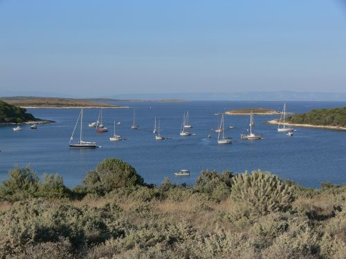 summer sea sailing