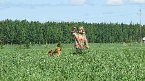 summer hay girl and dog