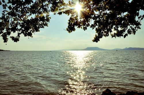 summer lake balaton water