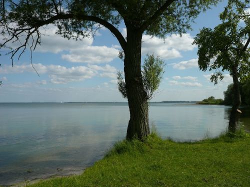 summer lake nature