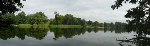 summer water forest