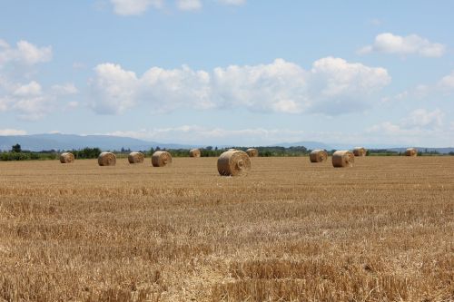 summer hay landscapes