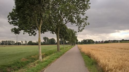 summer thunderstorm storm