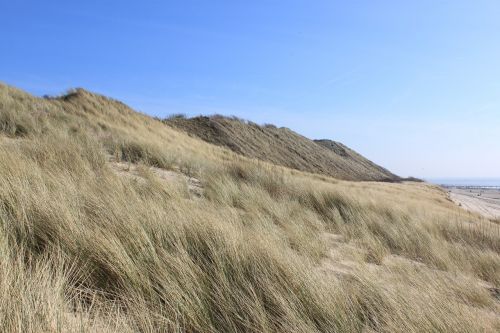 summer dunes coast