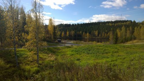 summer rural landscape