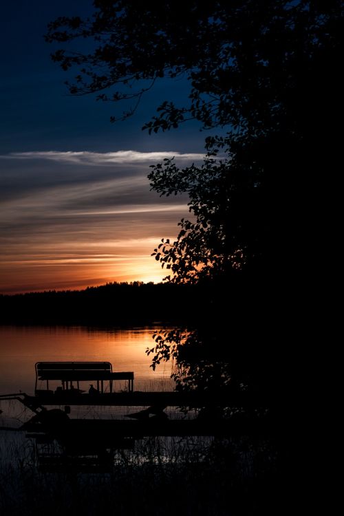 summer evening nature lake