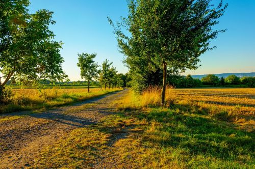 summer evening landscape abendstimmung