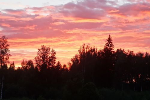 summer evening sunset himmel