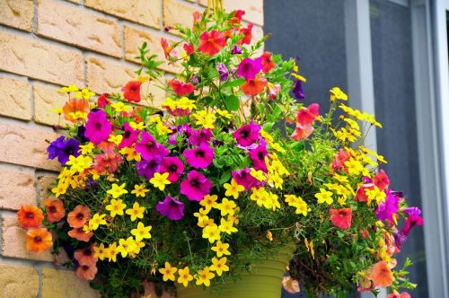 summer flowers flower basket floral