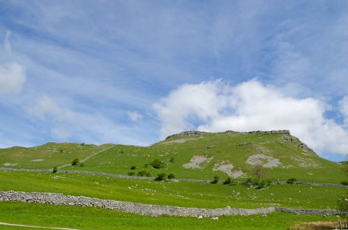 Summer Landscape