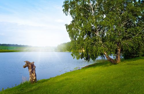 Summer Landscape