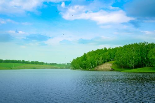 Summer Landscape