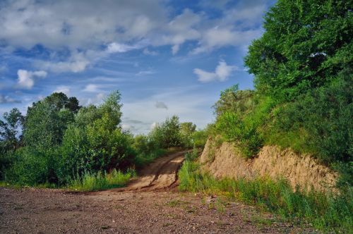 Summer Landscape