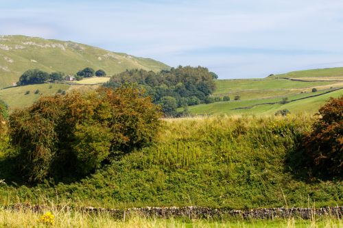 Summer Landscape