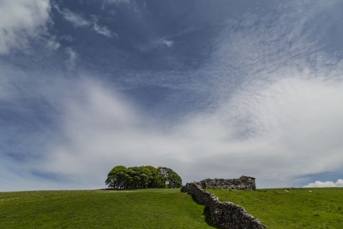 Summer Landscape