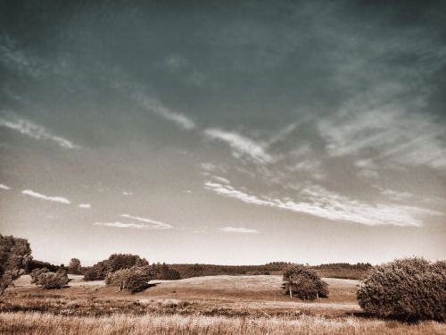 summer meadow sky landscape