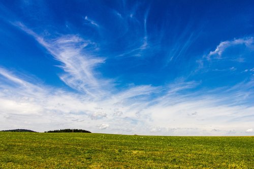 summer sky  meadow  blue