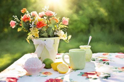 summer still-life garden outdoors