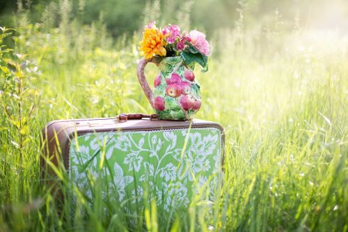 summer still-life suitcase in field grass