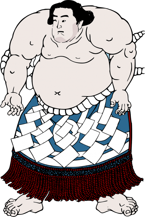 sumo japan wrestler