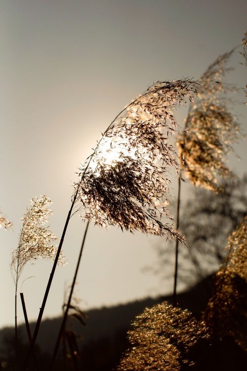 sun abendstimmung romance