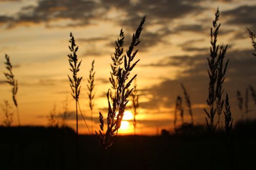 sun sunset evening sky