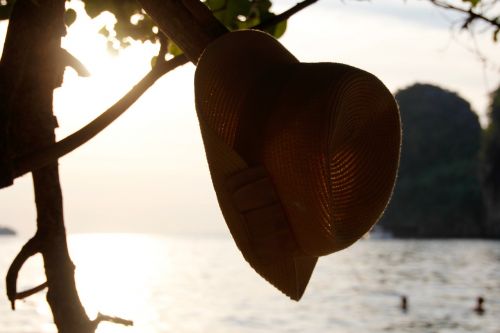 sun hat tree