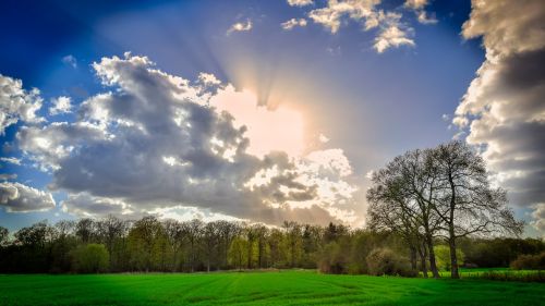 sun nature sky