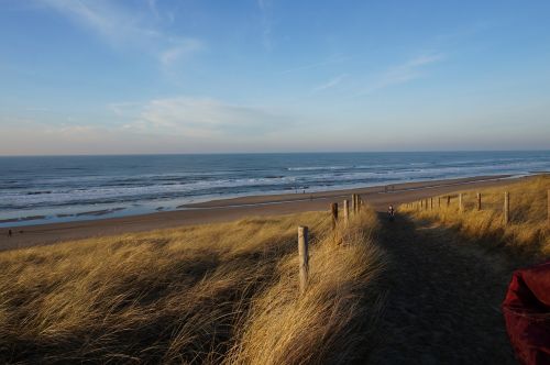 sun sea beach