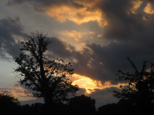 sun setting cloud