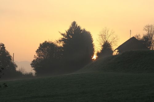 sun morning meadow