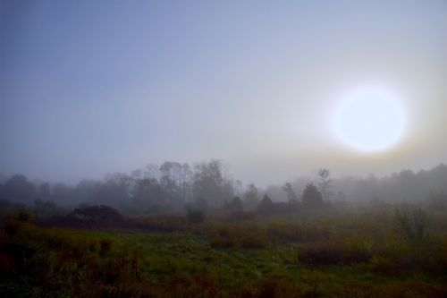 sun mist field