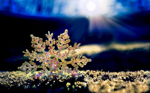 sun ice frost