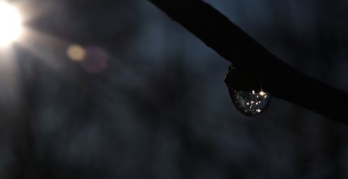 sun drop of water drip
