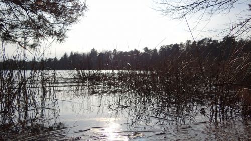 sun mirroring lake
