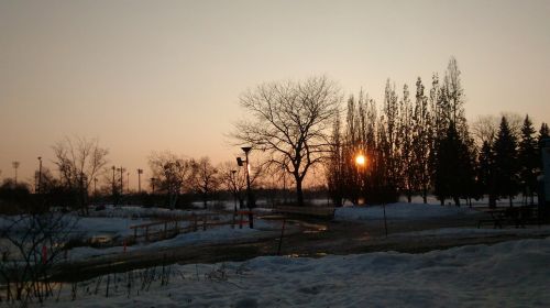 sun tree park