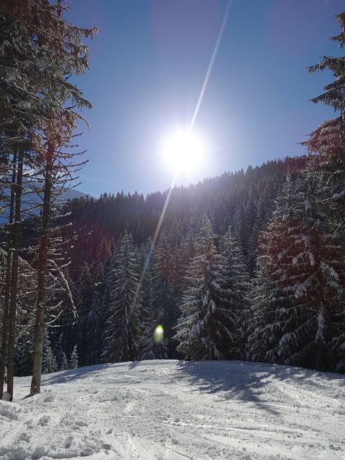 sun rays landscape snow