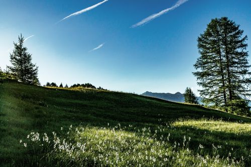 sun sunlight meadow