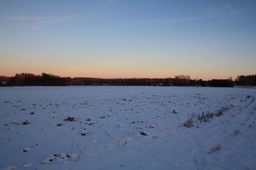 sun winter landscape