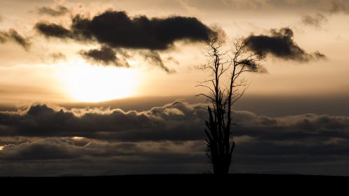 sun mood back light