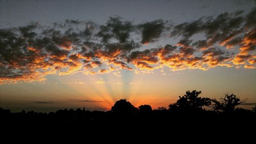 sun nature france