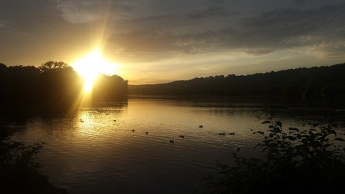 sun  sunset  duck birds
