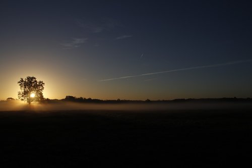 sun  landscape  nature