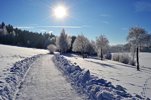sun  winter  snow