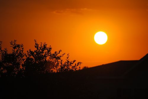 sun sunset silhouette