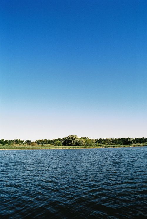 sun lake reed