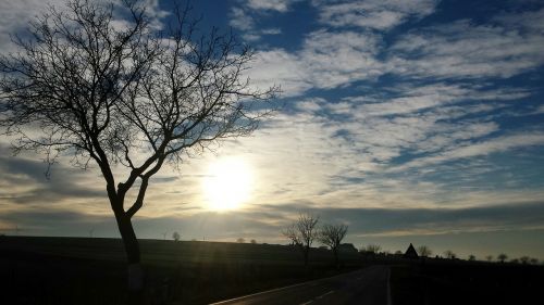 sun clouds tree