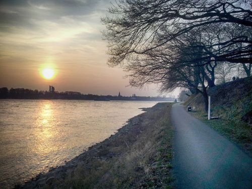 sun sunset rhine