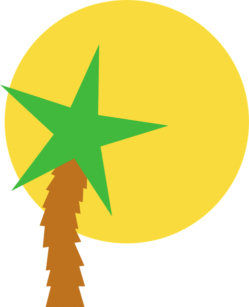 sun star palm