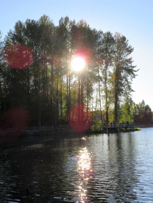 Sun At Lake